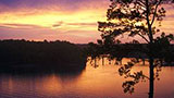 Places-bankhead-gradys-bb