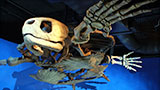 Places-bhm-mcwane-science-center