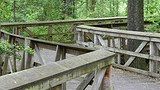 Places-bhm-tusc-moundville-campground