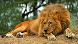 Places-bhm-zoo