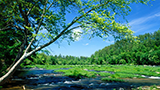 Places-cahaba-river