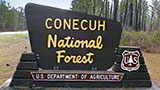 Places-conecuh-national-forest