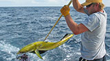 Places-dauphin-quest-fishing