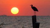 Places-fairhope-away-at-the-bay