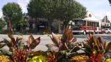 Places-fairhope-landmark-tours