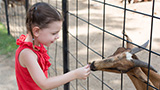 Places-gulf-shores-gulf-coast-zoo