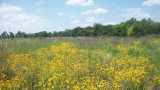 Places-lakeeufaula-wildlife-refuge