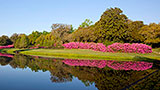 Places-mobile-bellingrath-gardens
