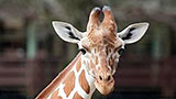 Places-montgomery-zoo