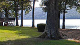 Places-shoals-waterloo