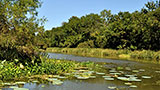 Places-tombigbee-choctaw-wildlife-refuge