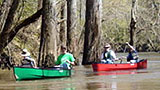Places-tombigbee-shark-tooth