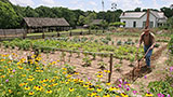 Places-wiregrass-landmark-park
