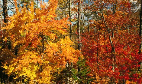 Trails-main-circle-of-colors