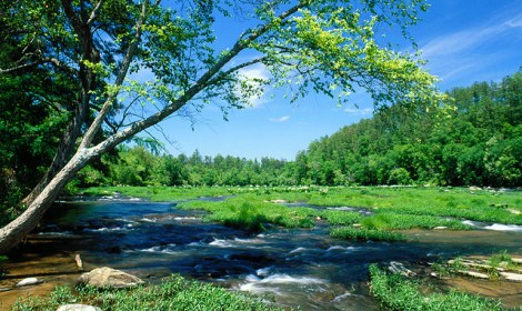 Trails-main-west-alabama