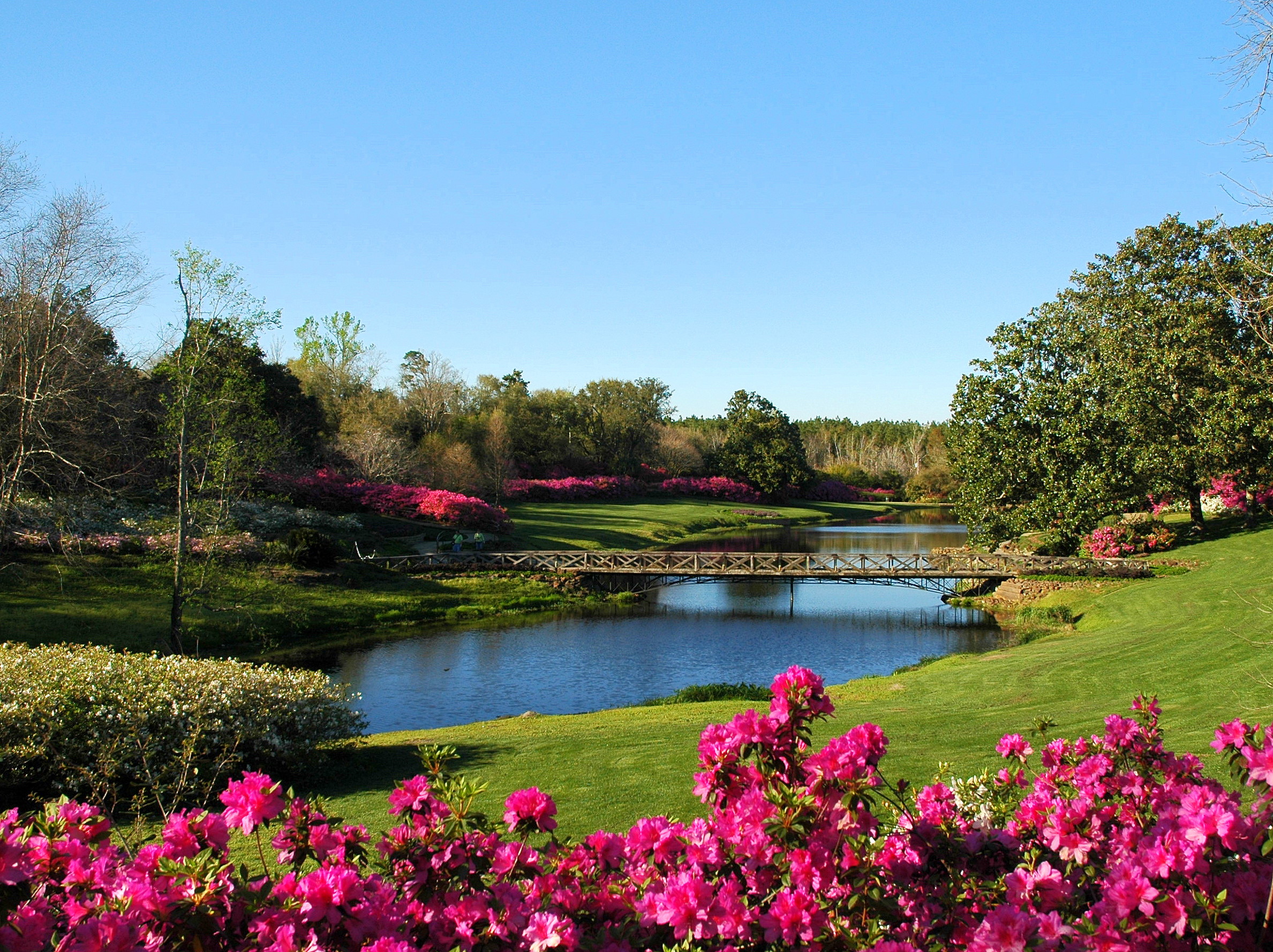 Bellingrath Gardens And Home Theodore Alabama Travel