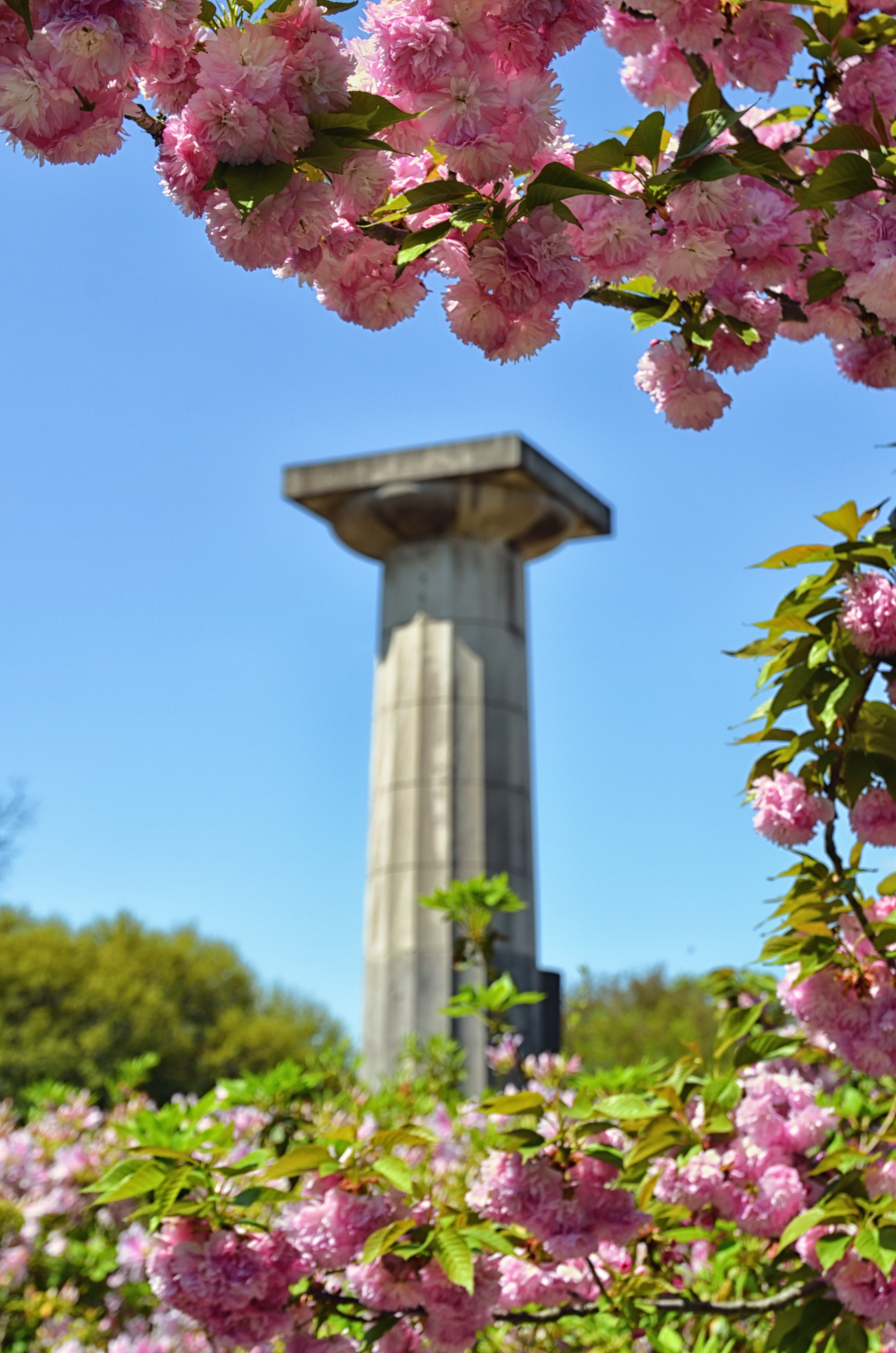 Jasmine Hill Gardens And Outdoor Museum Wetumpka Alabama Travel