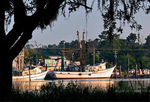 Slide_bon_secour_fisheries_selectedimage