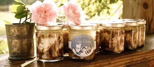 Slide_creamery4_713c_1_