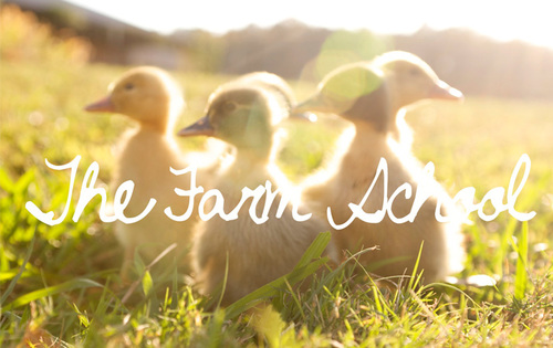 Slide_slide_thefarmschool_1_