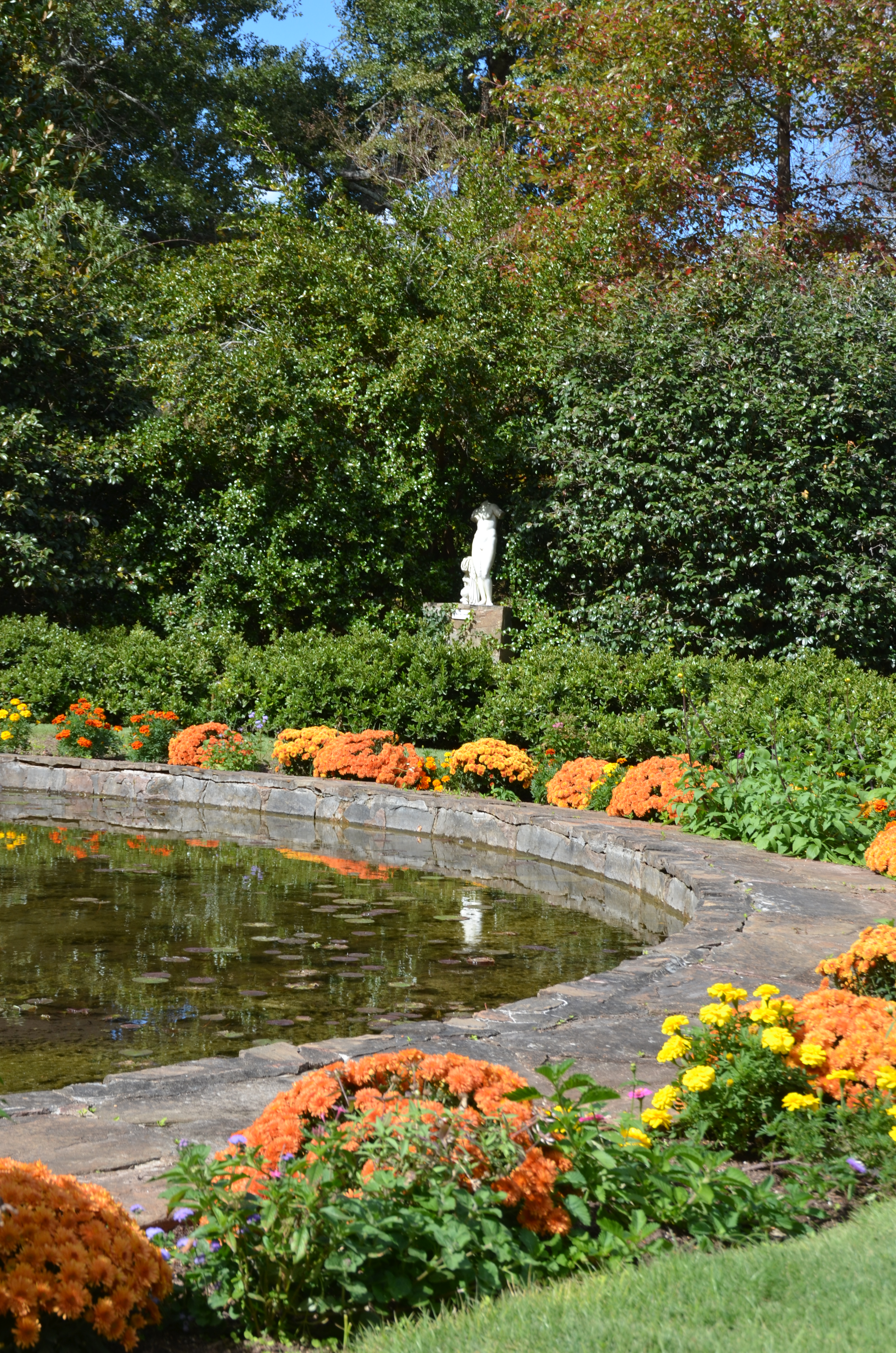 Autumn Flower Show
