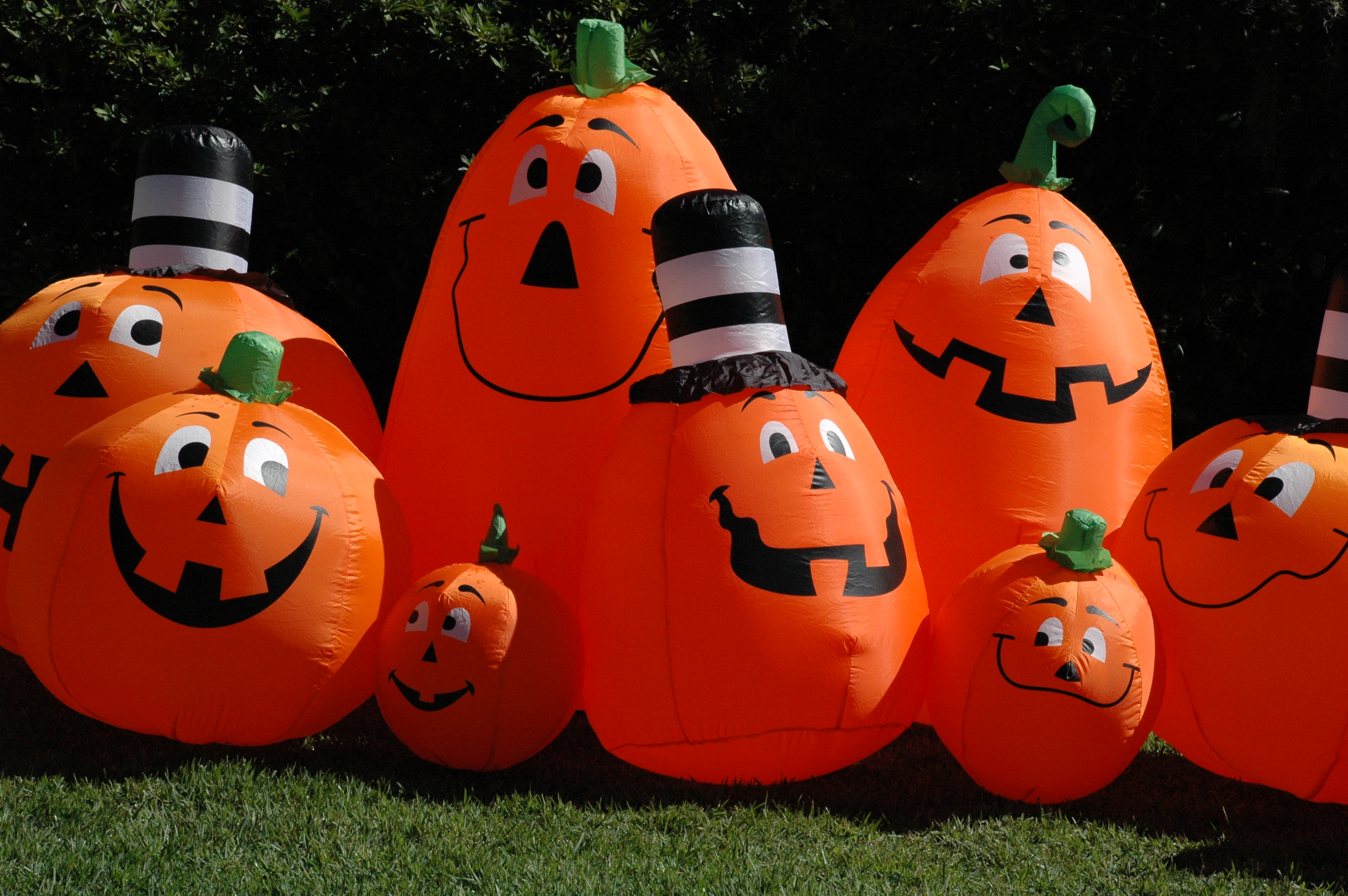 Boo at Bellingrath