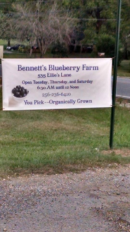 Bennett's Blueberry Farm