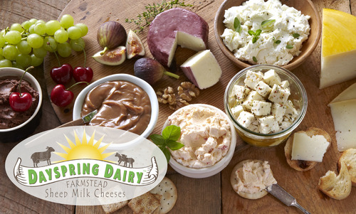 Slide_cheese_with_logo_2