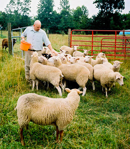 Slide_dayspring_shepherd