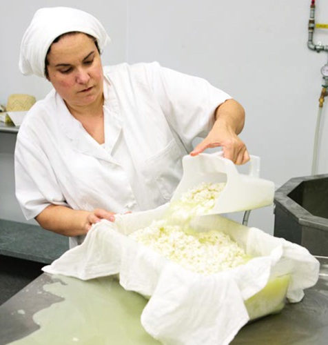 Slide_dayspring_cheesemaker