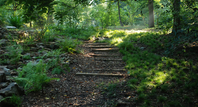 Donald E. Davis Arboretum