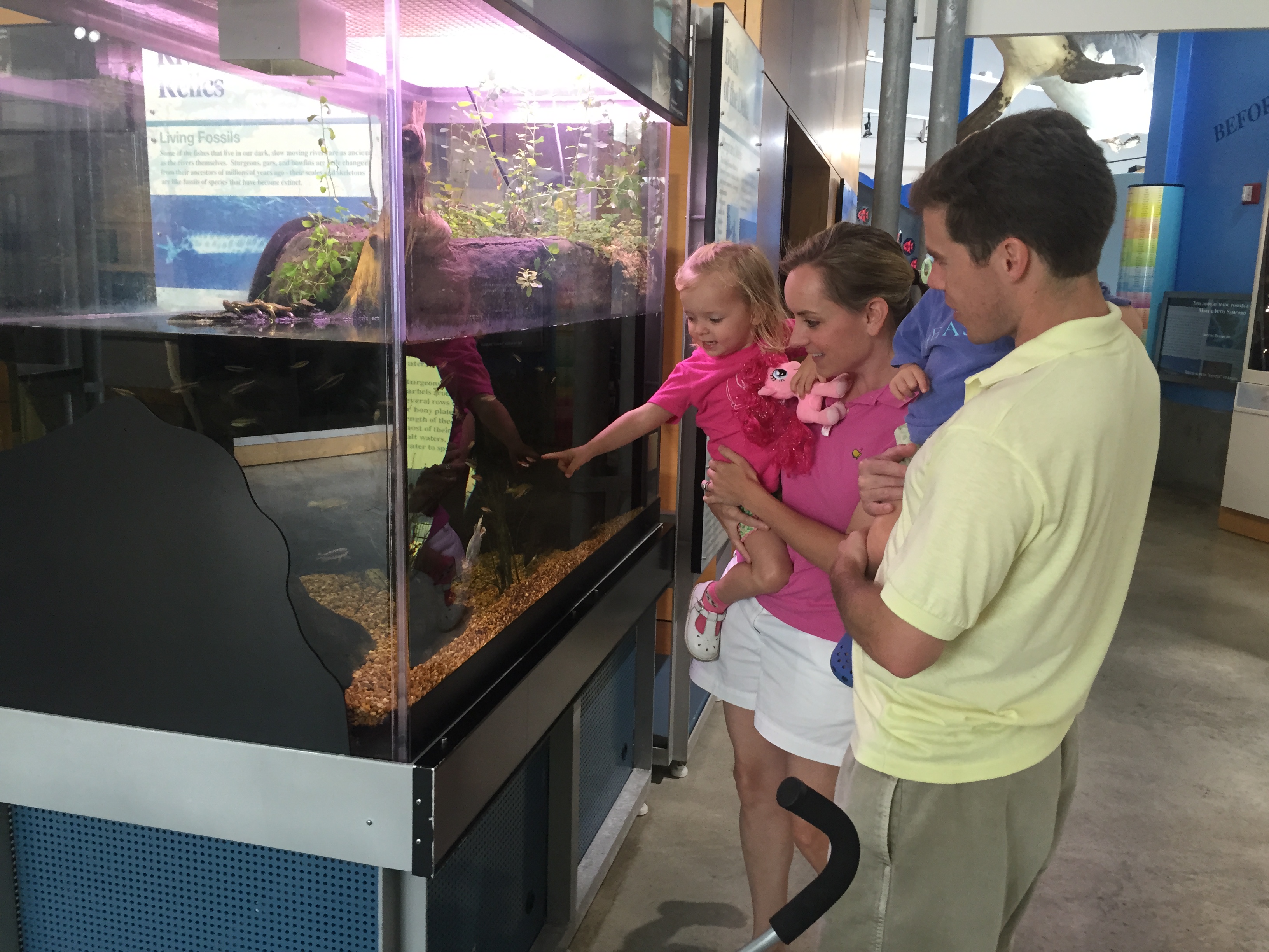 National Estuaries Day