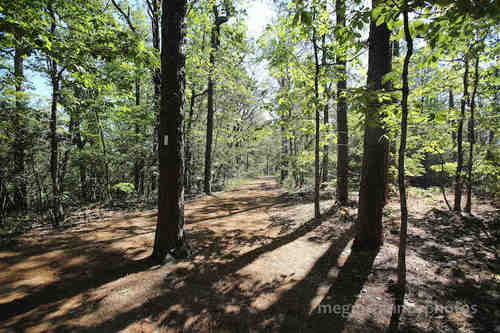 Slide_oakmtnsp_peavinefalls_mckinneymeg_0007bbb