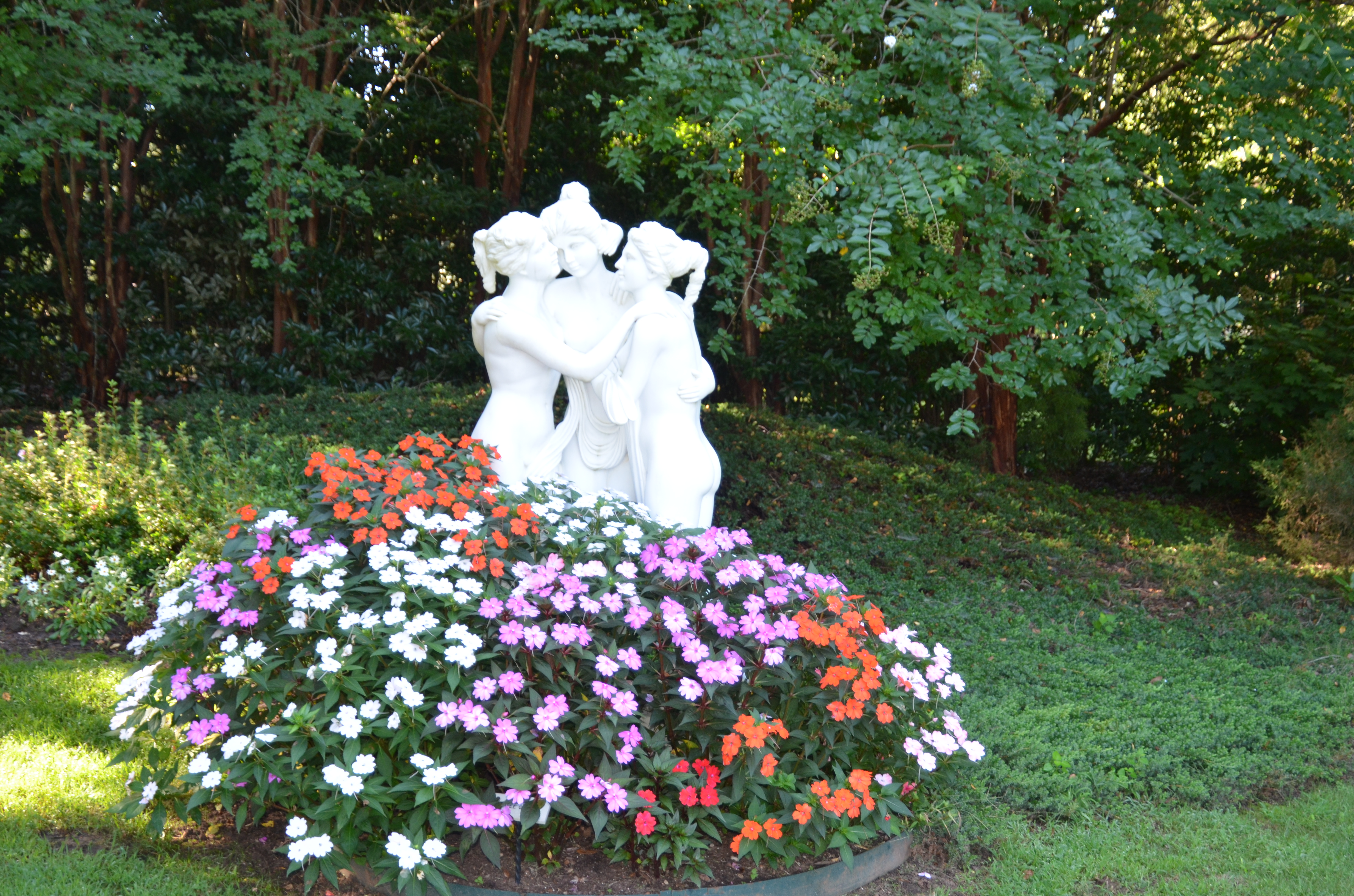 June is bustin' out all over, with beds of annuals and flowery shrubs!