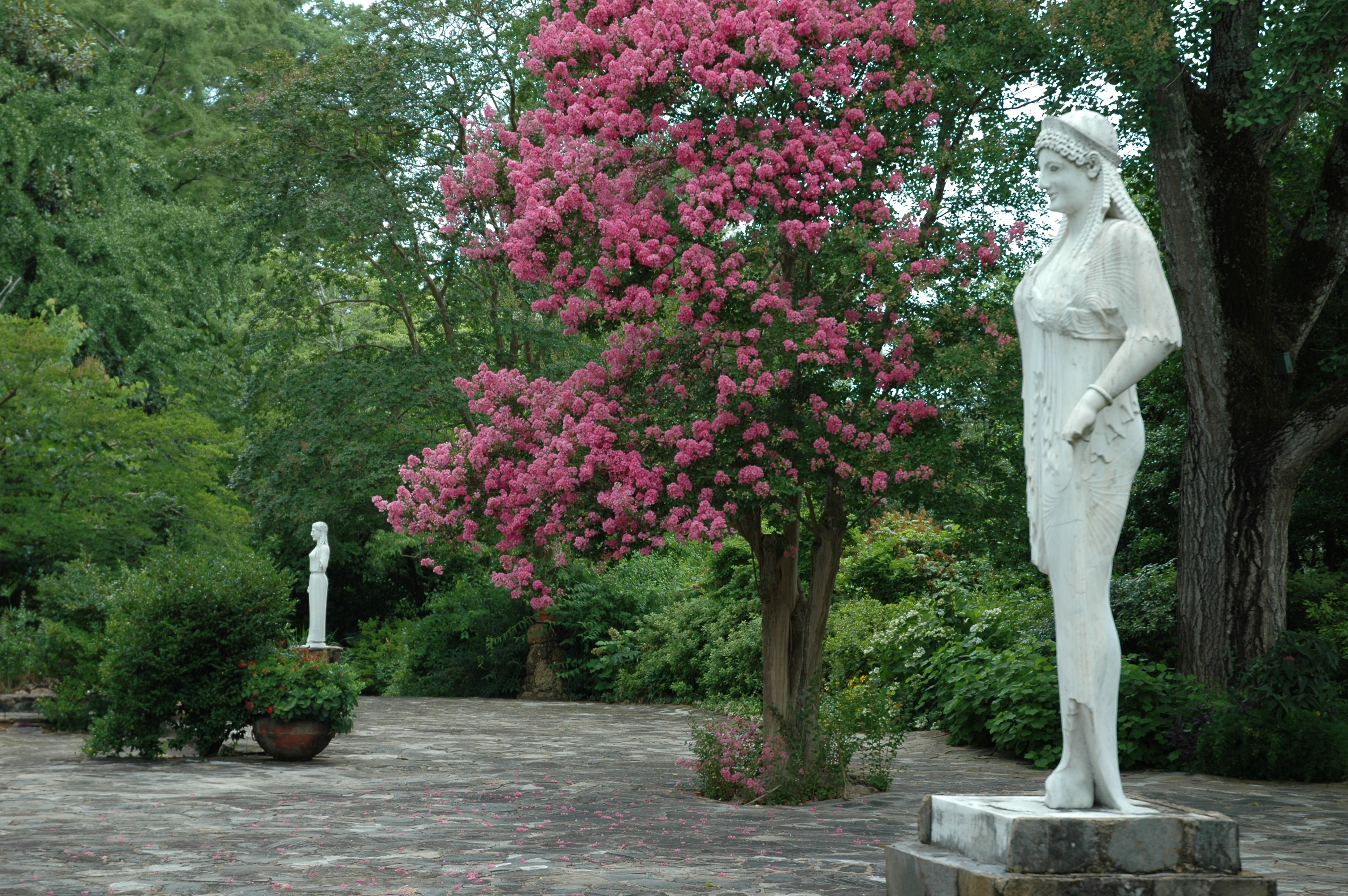 Summer Flower Show