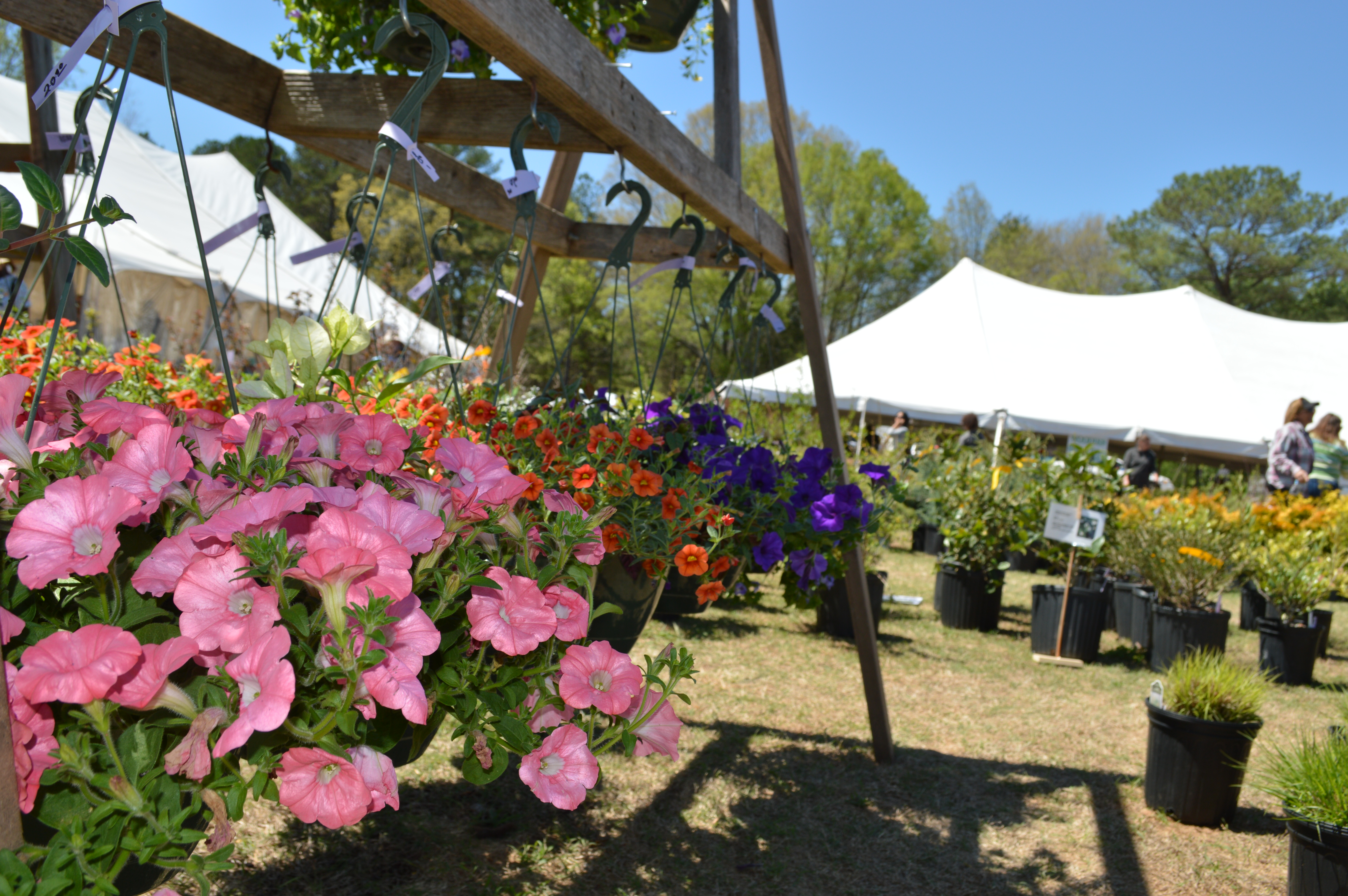 Spring Plant Sale Festival At The Huntsville Botanical Garden