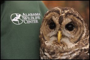 Alabama Wildlife Center's Owl-O-Ween