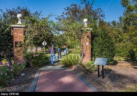 Wilbourne Antique Rose Trail
