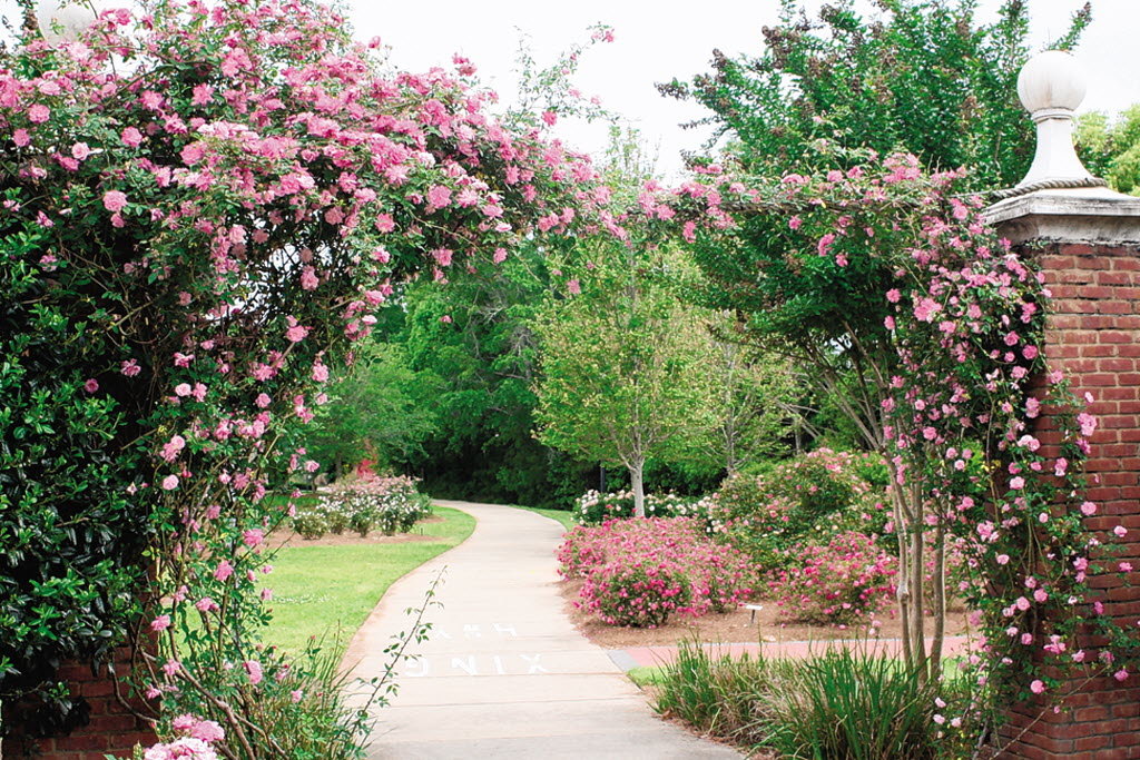 Wilbourne Antique Rose Trail