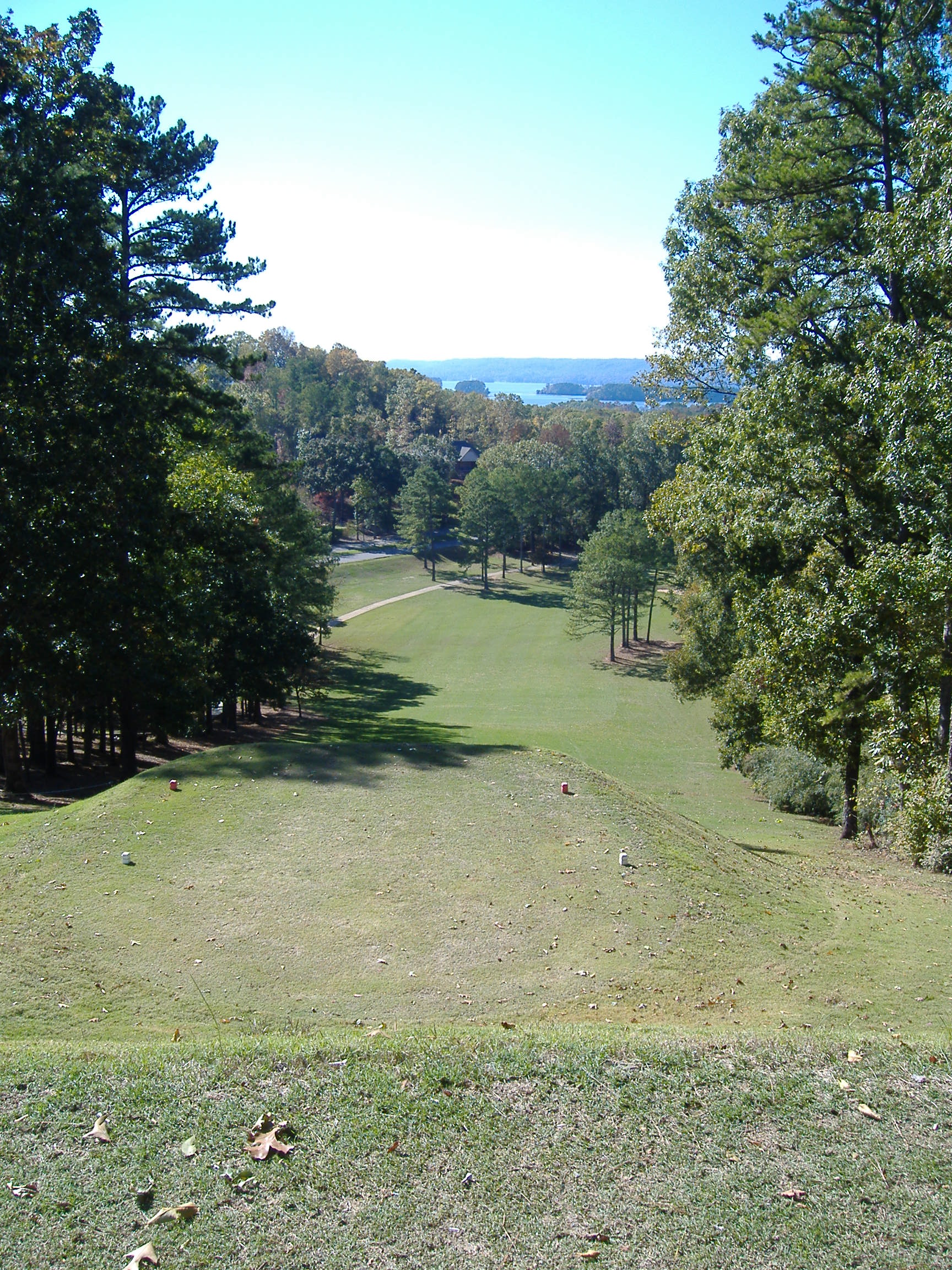 Gunter's Landing, Guntersville, Alabama Golf course information and