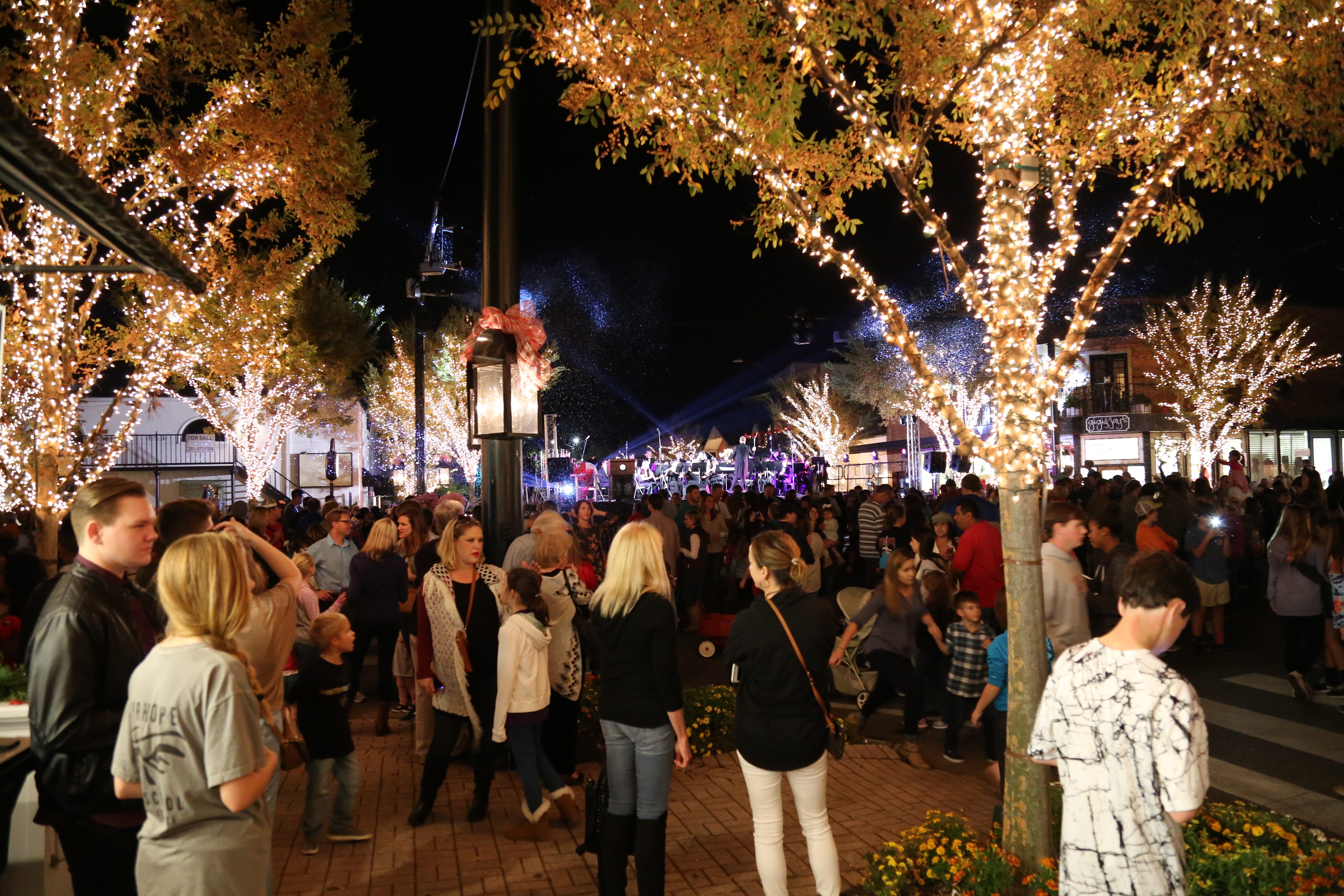 Fairhope Tree Lighting Celebration
