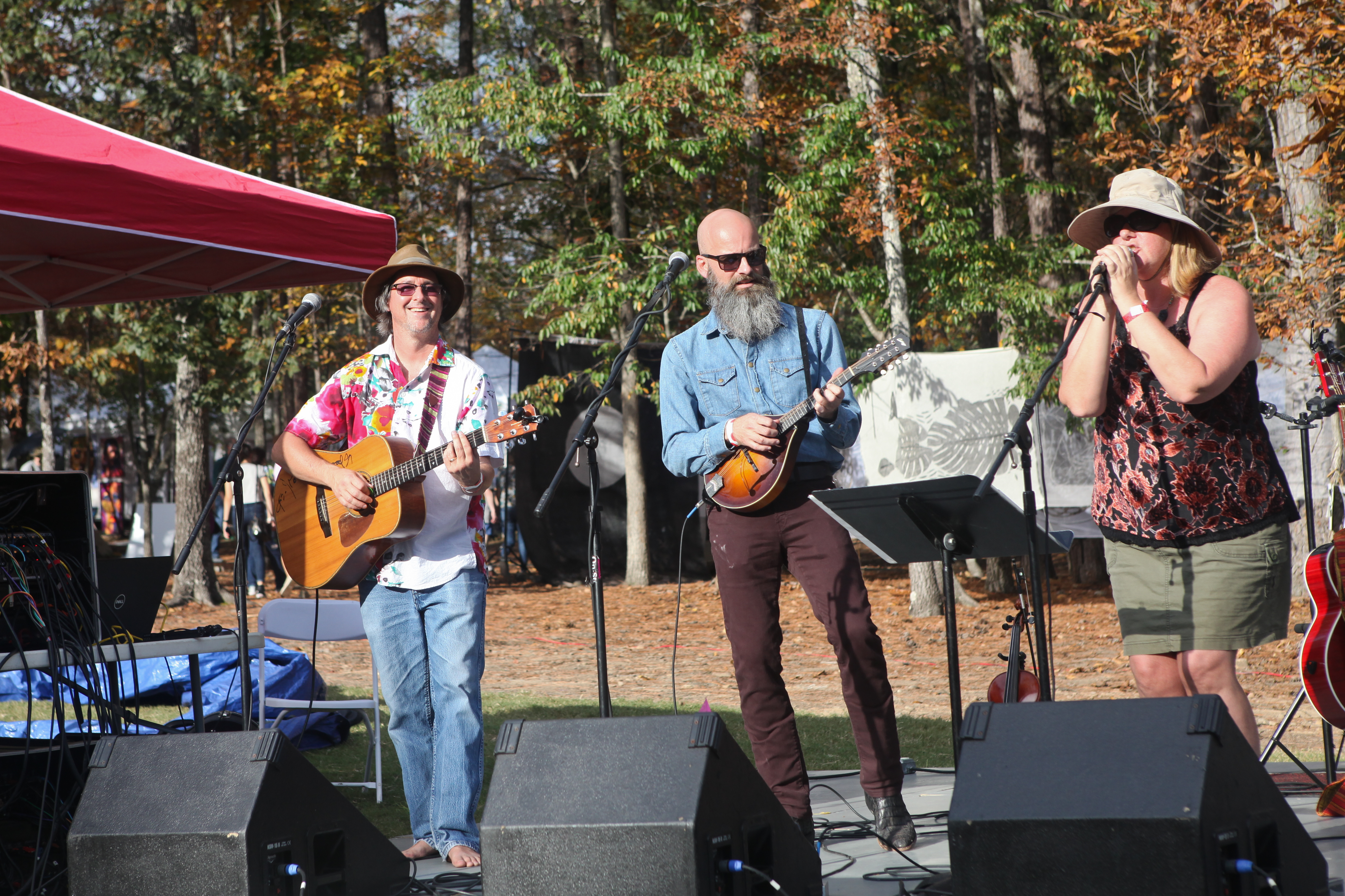 Moss Rock Festival