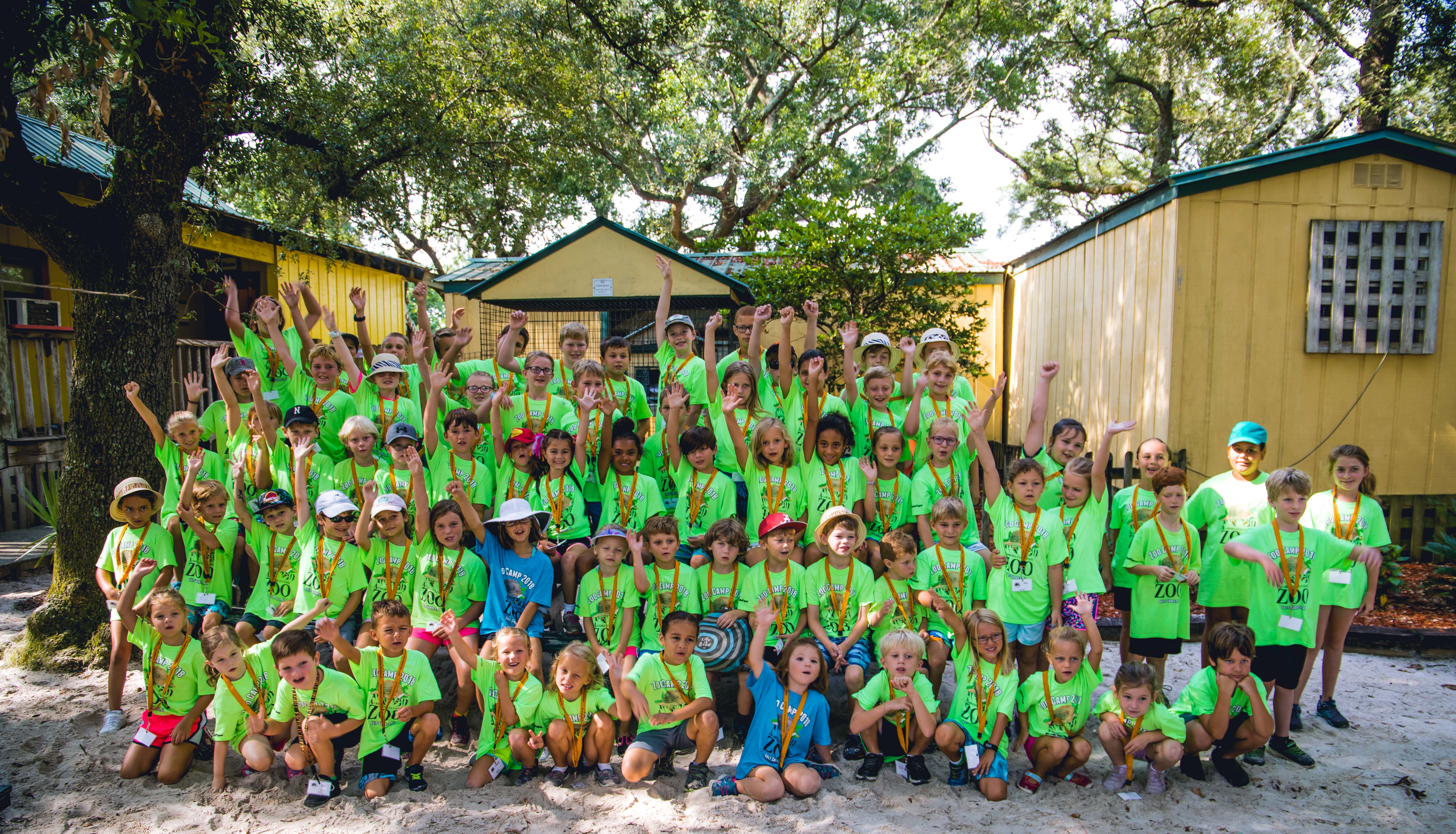 gulf breeze zoo summer camp gulf breeze zoo summer camp