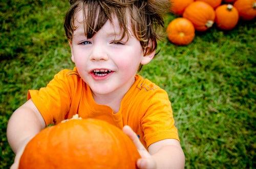 2019 Pumpkin Patch Season