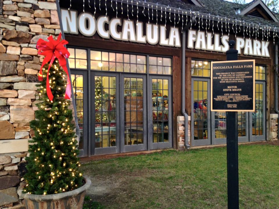 2019 Christmas at the Falls