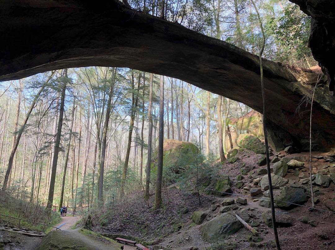 Natural Bridge Of Alabama Natural Bridge