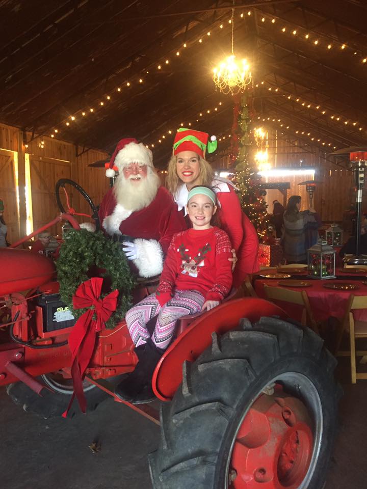 Christmas with the Elves
