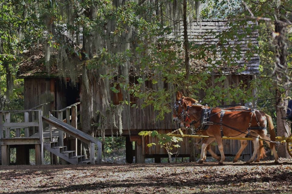 Pioneer Days at Rikard's Mill Historical Park