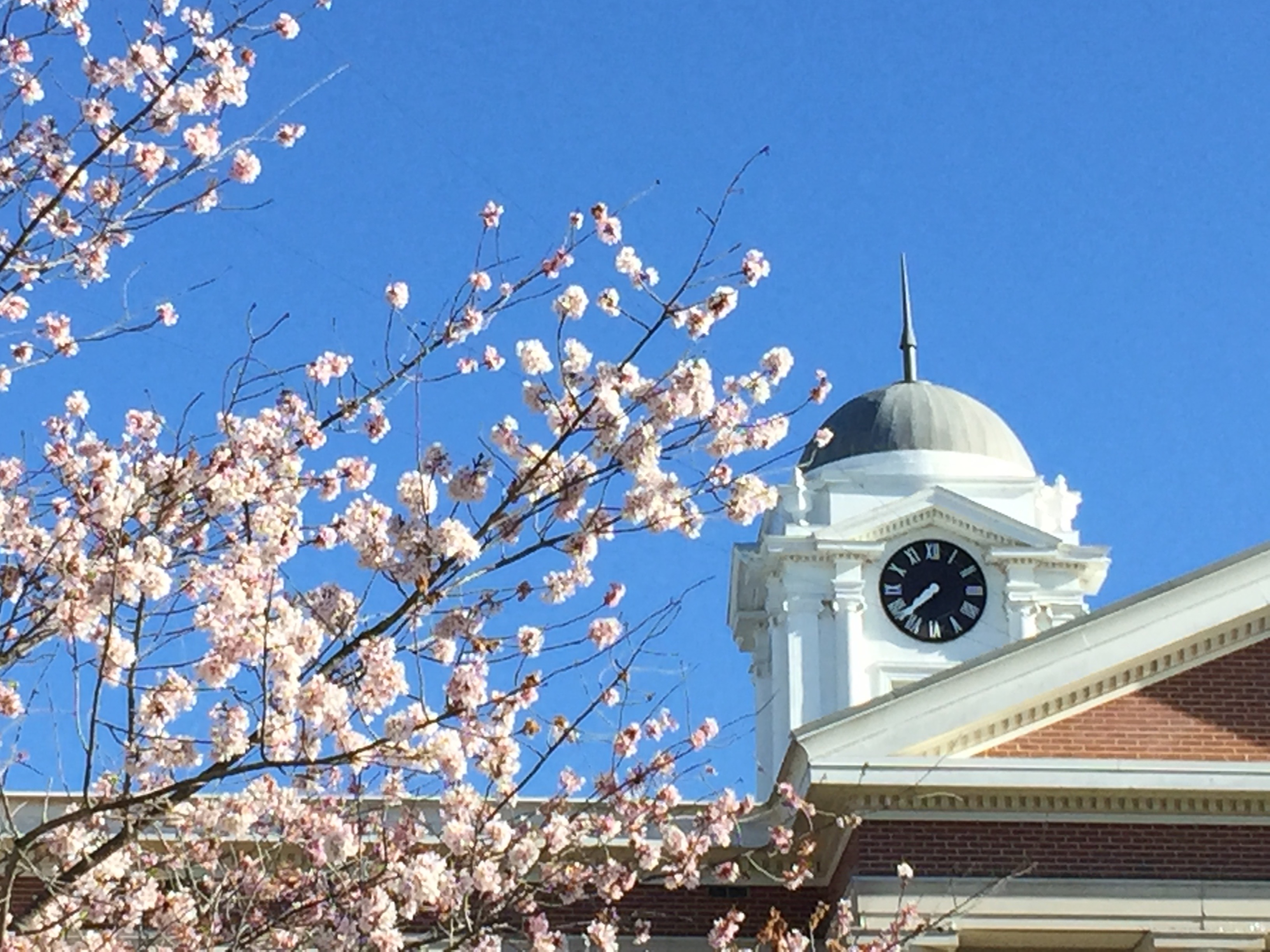 Market on the Scottsboro Square
