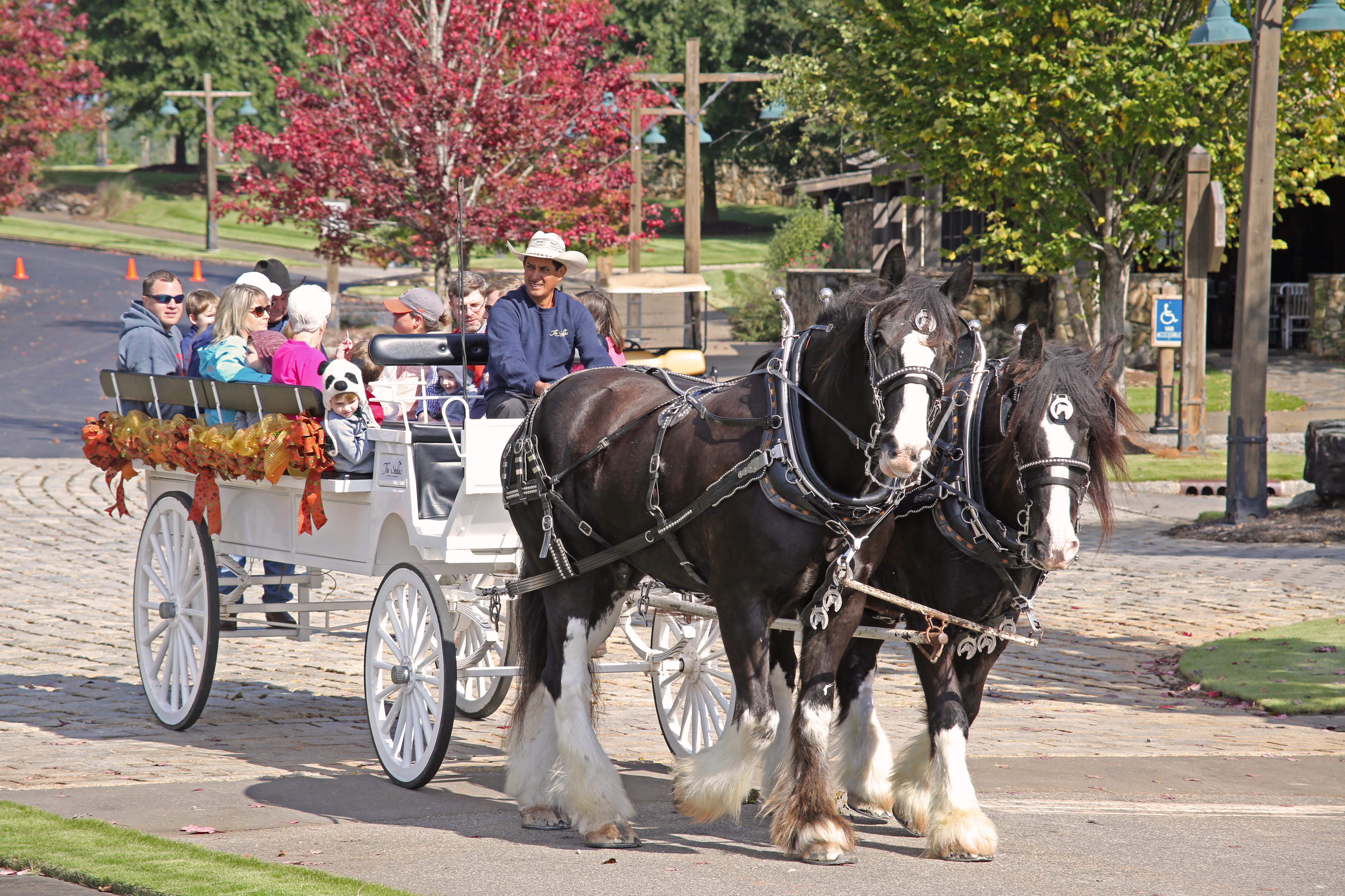 Fall Family Festival